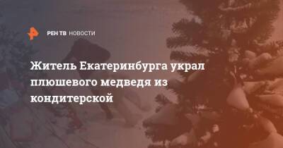 Житель Екатеринбурга украл плюшевого медведя из кондитерской - ren.tv - Екатеринбург