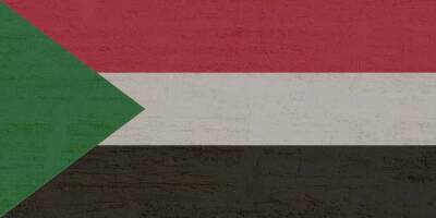 ООН выделила почти 2 млрд долларов на гумпомощь Судану и мира - cursorinfo.co.il - Израиль - Япония - Судан - Хартум