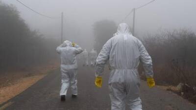 В Израиле взяли под контроль вспышку птичьего гриппа - vesty.co.il - Израиль