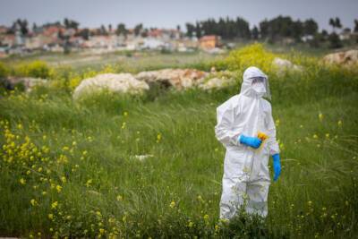 Минздрав опубликовал последнюю информацию о пандемии в Израиле - nashe.orbita.co.il - Израиль - Тель-Авив - Иерусалим