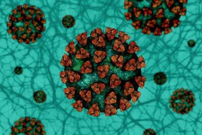 Стало известно, у кого чаще всего коронавирус протекает бессимптомно и мира - cursorinfo.co.il - Израиль - Лондон - Англия - Пекин