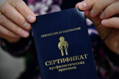 В ЕС заявили об отсутствии письма из России для признания COVID-сертификатов - govoritmoskva.ru - Россия - Москва - Евросоюз - Брюссель