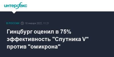 Александр Гинцбург - Гинцбург оценил в 75% эффективность "Спутника V" против "омикрона" - interfax.ru - Россия - Москва - Италия