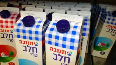 В Израиле - острая нехватка молока в картонных пакетах: причины - vesty.co.il - Израиль