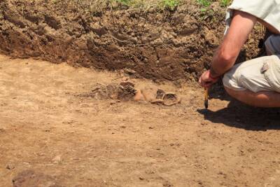 Китайские археологи обнаружили остатки алкоголя, которому 8 тысяч лет и мира - cursorinfo.co.il - Израиль - Китай