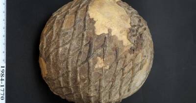 Ученые раскрыли секрет 9000-летнего черепа, украшенного асфальтом (фото) - focus.ua - Израиль - Украина