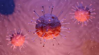 Как иммунитет борется с коронавирусом: ученые выяснили новый факт и мира - cursorinfo.co.il - Израиль