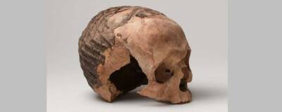 Раскрыта тайна древних черепов из Израиля, украшенных узорами из жидкого асфальта - runews24.ru - Израиль