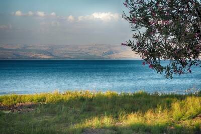 23 тысячи лет назад жители побережья Галилейского моря процветали - mk.ru - Иерусалим