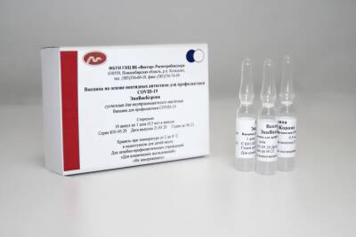 В Госдуме РФ обсудят эффективность вакцины «ЭпиВакКорона» против COVID-19 - abnews.ru - Израиль - Россия