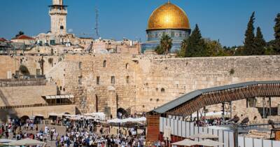 Израиль возобновит прием туристов с 9 января - ren.tv - Израиль - Индия
