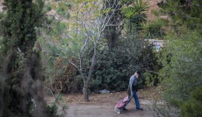 Нафтали Беннет - В Израиле посадят 450 тысяч деревьев, чтобы противостоять глобальному потеплению - rusjev.net - Израиль