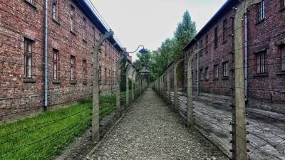 Глава отдела образования Польши хочет запретить еврейский центр Освенцим и мира - cursorinfo.co.il - Израиль - Варшава - Польша