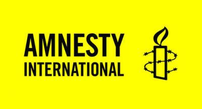 211 страниц ненависти: Amnesty International демонизирует Израиль - vesty.co.il - Израиль - Палестина - Иерусалим - Белоруссия