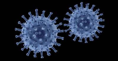 Профессор рассказал, когда может закончиться пандемия коронавируса и мира - cursorinfo.co.il - Англия