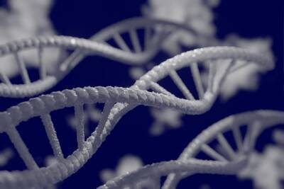 Исследование: странные структуры в ДНК могут способствовать развитию рака и мира - cursorinfo.co.il - Израиль
