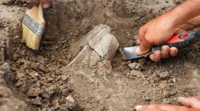 Ученые рассказали о возможных археологических открытиях 2022 года - belta.by - Израиль - Египет - Белоруссия