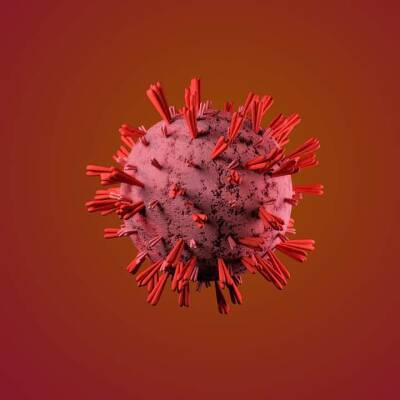 Как иммунитет борется с коронавирусом: врачи выяснили новый факт и мира - cursorinfo.co.il - Израиль
