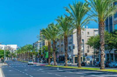 В Тель-Авиве состоится велопробег: какие улицы перекроют 14 октября - cursorinfo.co.il - Тель-Авив