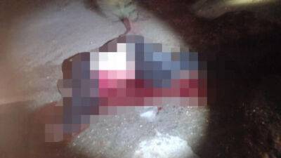Теракт в Бейт-Эле: израильтянин ранен, террорист ликвидирован - vesty.co.il - Израиль - поселение Бейт-Эль