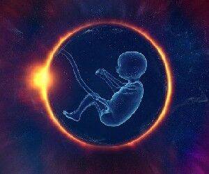 Дело о чужом эмбрионе: есть результаты генетической экспертизы - isra.com - Израиль - Лод - Есть