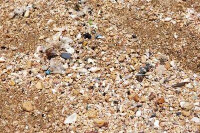 Исследование: 2 тонны пластика, обнаруженные на израильских пляжах, опасны для здоровья - nashe.orbita.co.il - Израиль - Тель-Авив