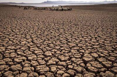 Климат: миллионы людей на Ближнем Востоке будут перемещены из-за нехватки воды - unn.com.ua - Египет - Украина - Киев
