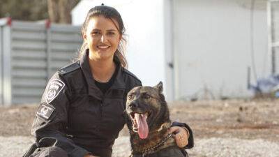 Отличный нюх: овчарка Бритни помогла полицейским найти оружие на севере Израиля - vesty.co.il - Израиль