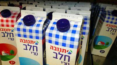 Будут ли повышены цены на молочные продукты: что не так с оправданиями "Тнувы" - vesty.co.il - Израиль