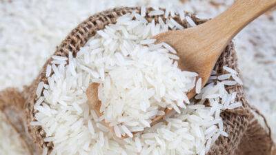 В Израиле начнут продавать рис из Европы: какие сорта и по каким ценам - vesty.co.il - Израиль - Ливан - Эмираты - Греция