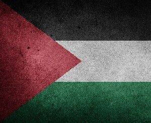 Мухаммад Штайе - Нед Прайс (Ned Price) - Рамалла требует наказать Израиль за смерть юной палестинки - isra.com - Израиль - Палестина - Сша - Вашингтон