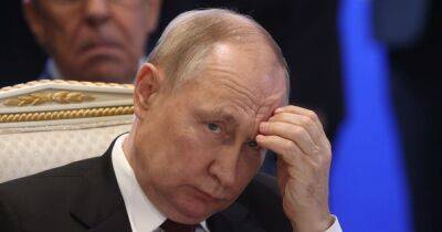 Владимир Путин - Новая Гаага. Какой трибунал для Путина предлагает организовать Европа - focus.ua - Израиль - Россия - Катар - Ирак - Сша - Украина - Китай - деревня Ляйен - Киев - Гаага - Голландия - Йемен - Ливия