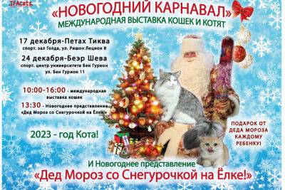Дед Мороз и Кошки! Новогодняя выставка кошек c подарками от Деда Мороза - news.israelinfo.co.il