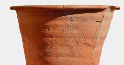Ученые нашли предмет, который использовали в Древнем Риме, когда рядом не было туалета - focus.ua - Украина - Рим
