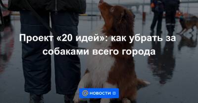 Дмитрий Давыдов - Проект «20 идей»: как убрать за собаками всего города - news.mail.ru - Россия - Москва - Сша