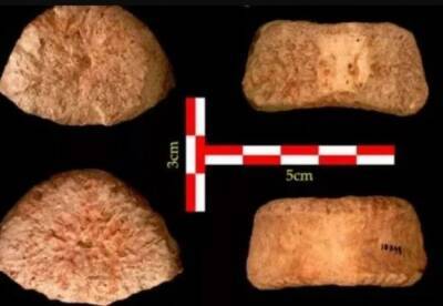Археологи обнаружили окаменелость человека возрастом 1,5 миллиона лет - facenews.ua - Израиль - Украина