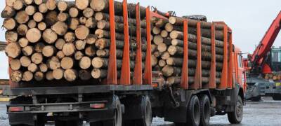 Украина стала одним из импортеров лесоматериалов из Карелии в январе 2022 года - stolicaonego.ru - Украина - республика Карелия - Из
