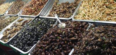 10 блюд из насекомых, которые считаются деликатесом в разных странах - fokus-vnimaniya.com - Таиланд - Из