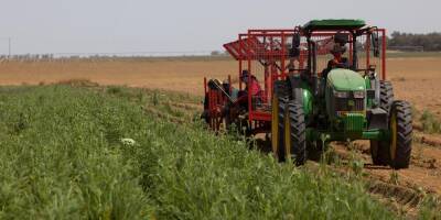 Израиль вложит миллионы в омоложение сельского хозяйства - detaly.co.il - Израиль