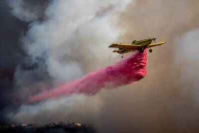 Кабинет министров утвердил план подготовки к масштабным лесным пожарам на сумму 155 млн шекелей - cursorinfo.co.il - Израиль - Иерусалим - Камерун - район Бейт-Ханина