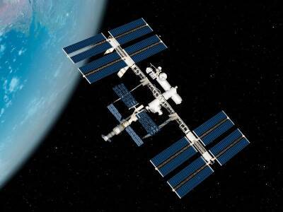 Израиль и NASA запустили совместный проект по исследованию выращивания нута в космосе и мира - cursorinfo.co.il - Израиль - Сша - Эмираты