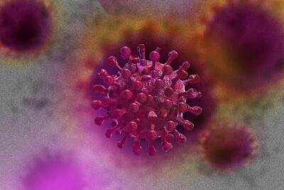 В Израиле ожидается рост инфицирования коронавирусом на следующей неделе - cursorinfo.co.il - Израиль