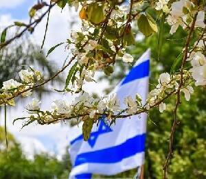 В Украине открыли израильский госпиталь - isra.com - Израиль - Украина