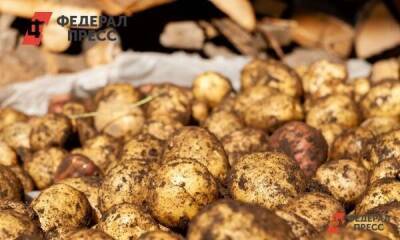 Израиль - Израильские фермеры готовы уничтожать картошку, которая предназначалась России - smartmoney.one - Израиль - Россия - Москва