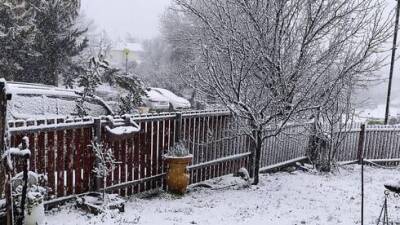 Север Израиля замело: снегопад в конце марта - что это? - vesty.co.il - Израиль