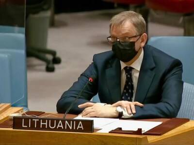 Владимир Путин - Представитель Литвы в ООН: Мы хотели бы, чтобы Россия воздержалась от использования вето, когда она воюет с Украиной - gordonua.com - Израиль - Палестина - Россия - Москва - Сирия - Украина - Белоруссия - Литва - Эритрея - Кндр