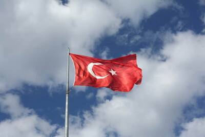 Нафтали Беннетый - Реджеп Тайип Эрдоган - Тайип Эрдоган - В Турции заявили, что строительство газопровода с Израилем невозможно в ближайшее время - cursorinfo.co.il - Израиль - Палестина - Сша - Турция