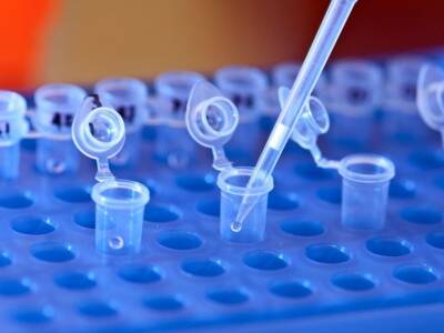 Новый ДНК-тест поможет в краткий срок выявлять более пятидесяти генетических болезней - polit.ru - Израиль - Австралия - Англия