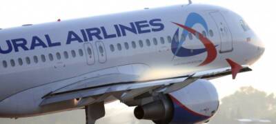 «Уральские авиалинии» отменили рейсы в четыре страны - stolicaonego.ru - Израиль - Армения - Таиланд - Эмираты - Азербайджан