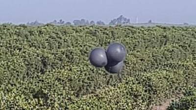 Связка черных шаров вызвала переполох в Израиле: что случилось на самом деле - vesty.co.il - Израиль - Украина